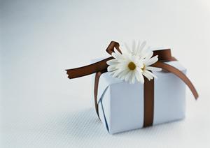 愛犬も喜ぶおいしいドッグフードを通販で購入